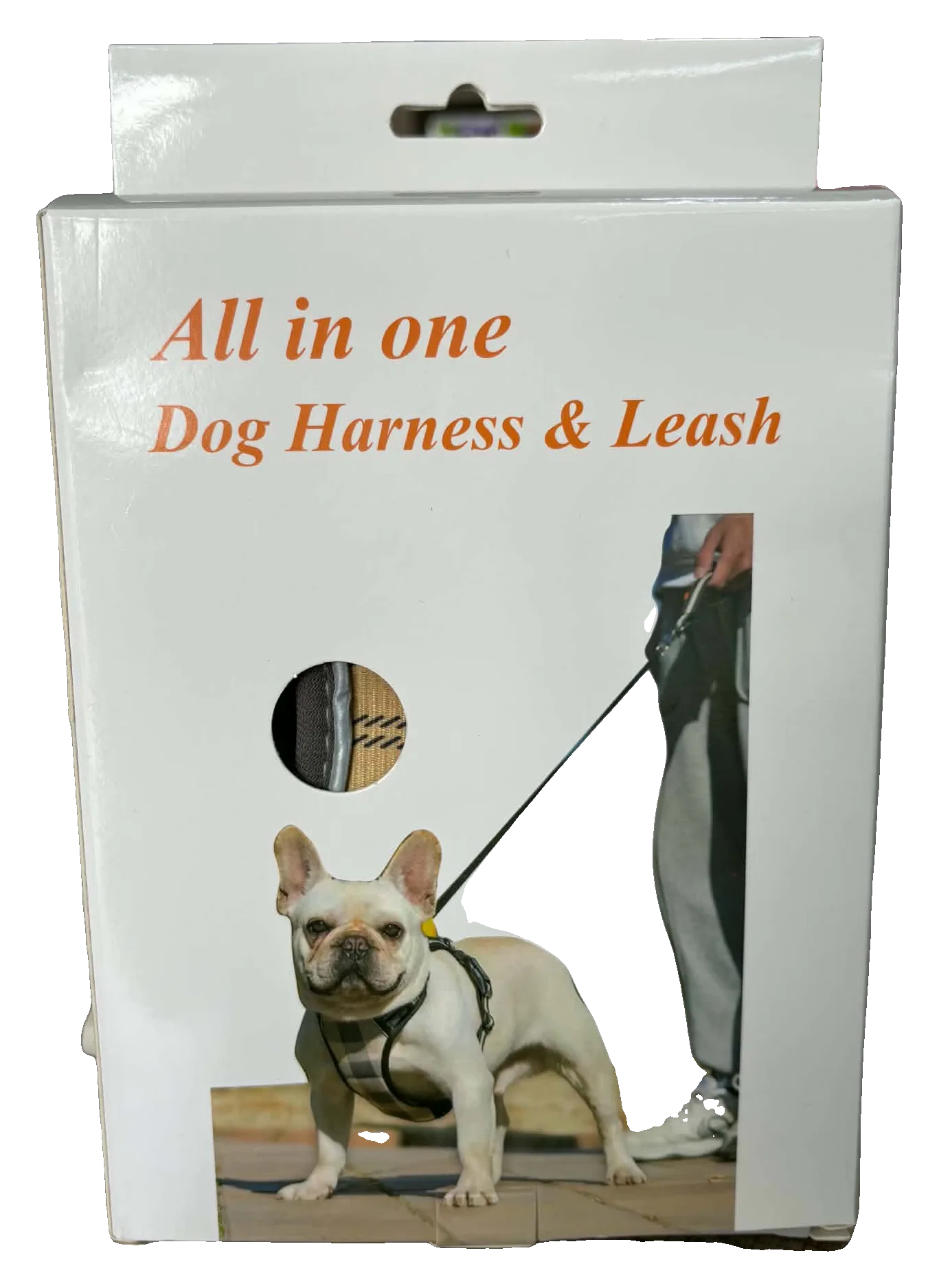 Harnais + laisse chien « All in one »
